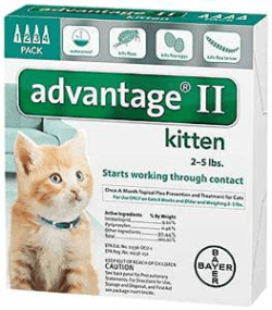 flea control for kittens