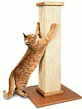 cat scratch post