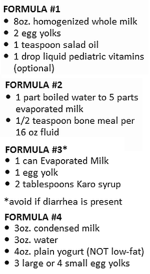 Baby Kitten Feeding Chart