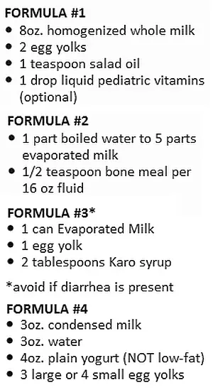 newborn kitten feeding guide