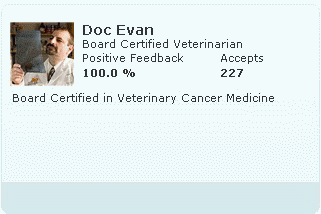 KittenCare.com Real vets are online ready to answer your questions